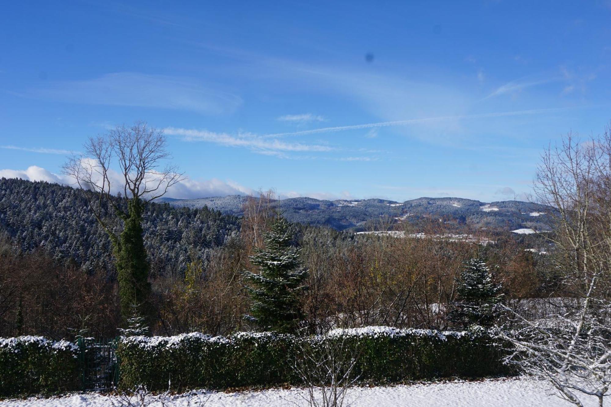 Chalet Waldzeit Zachenberg エクステリア 写真